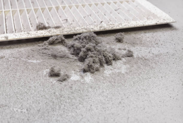 Best Ductwork Cleaning Services  in Roscoe, IL