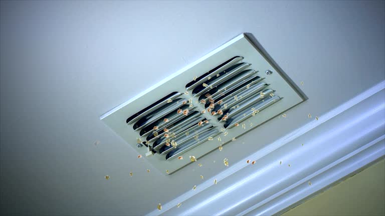 Best Air Duct Cleaning Near Me  in Roscoe, IL