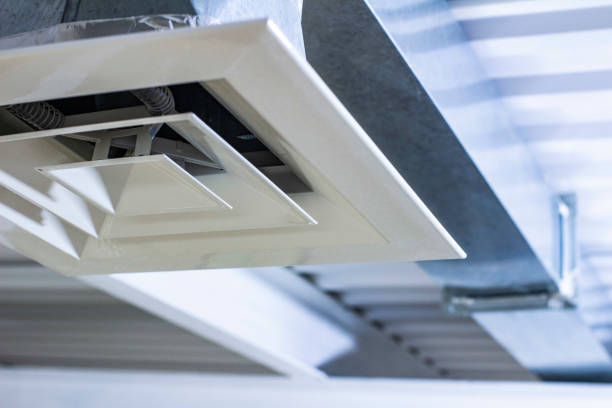 Best Residential Air Duct Cleaning  in Roscoe, IL