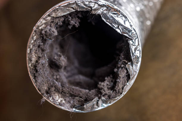 Best Best Air Duct Cleaning Company  in Roscoe, IL